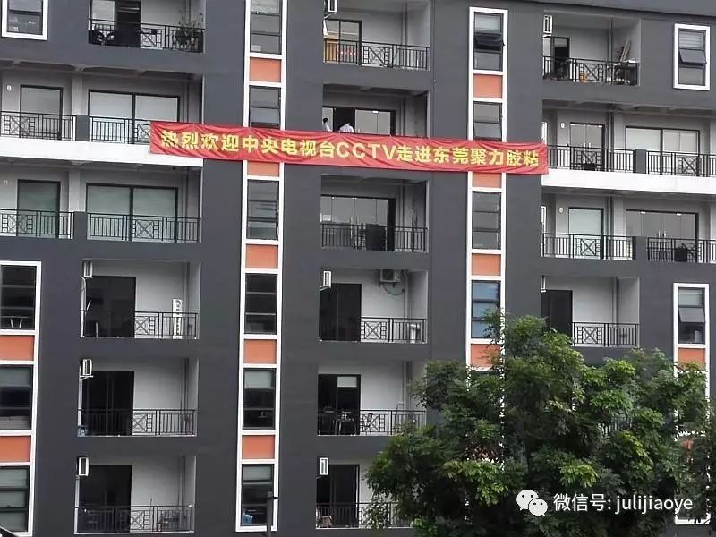 CCTV《牛商論道》欄目攝制組走進(jìn)聚力膠粘 CCTV《牛商論道》欄目攝制組走進(jìn)聚力膠粘
