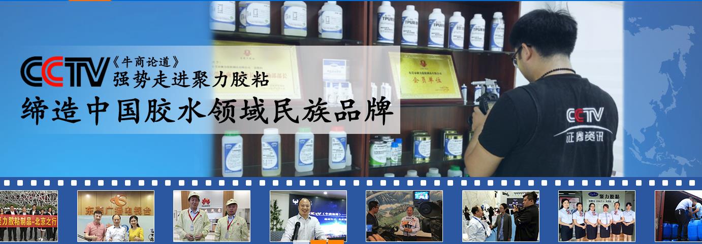 質(zhì)為本 樹(shù)口碑