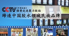 2018年聚力膠業(yè)加強人才隊伍建設,加強自身競爭能力